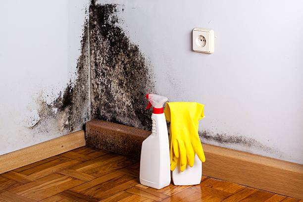 Best Emergency Mold Remediation  in Janesville, WI